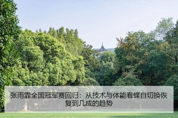 zhang-yu-fei-quan-guo-guan-jun-sai-hui-gui-cong-ji-shu-yu-ti-neng-kan-die-zi-qie-huan-hui-fu-dao-ji-cheng-de-qu-shi-2-547.jpg