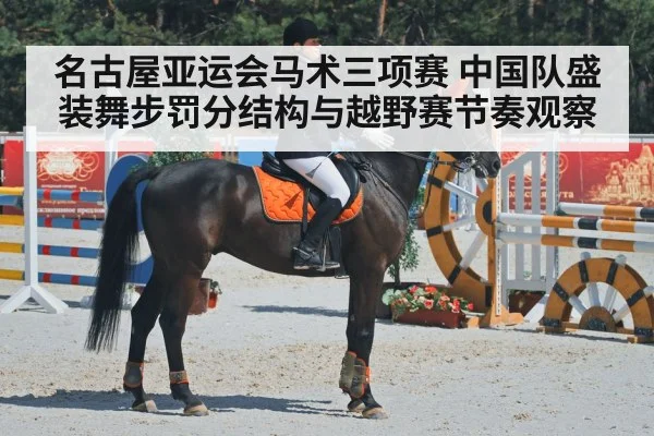 equestrian dressage horse