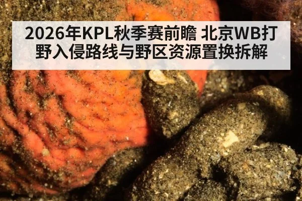 2026年KPL秋季赛前瞻 北京WB打野入侵路线与野区资源置换拆解